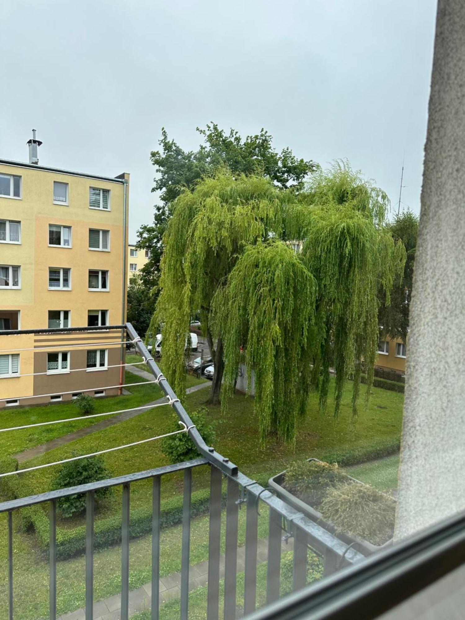Bugaj * Pabianice